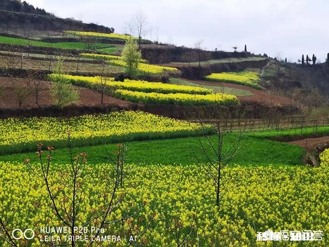 你城市的结婚彩礼大概多少?你结婚时收或送多少