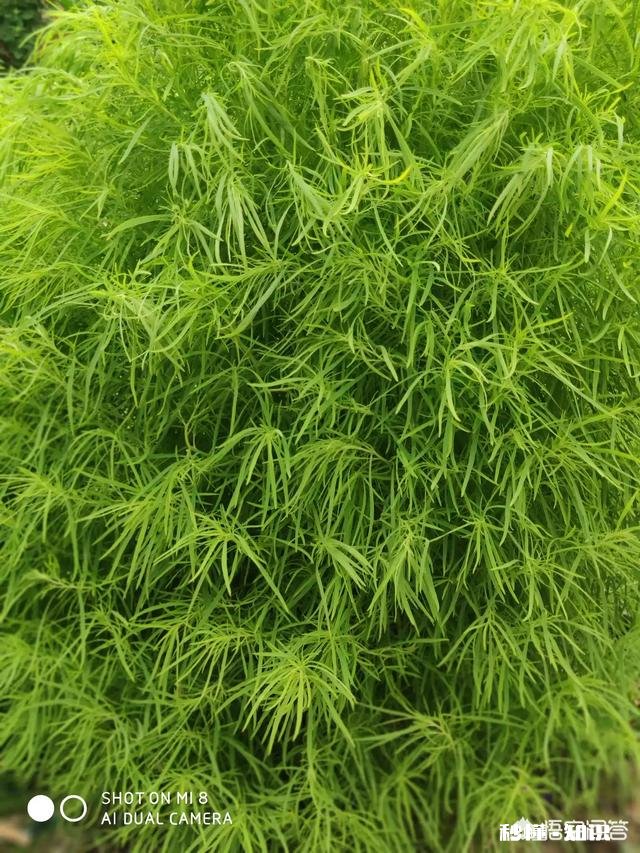 每次和我爸打完电话我就想和男朋友分手怎么办