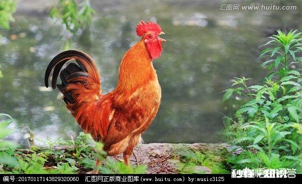 在农村被农民称为“三霸”的动物是哪三种动物