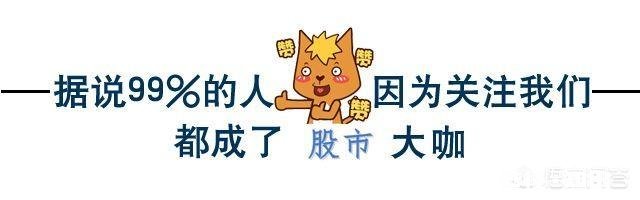 新手如何投资股票