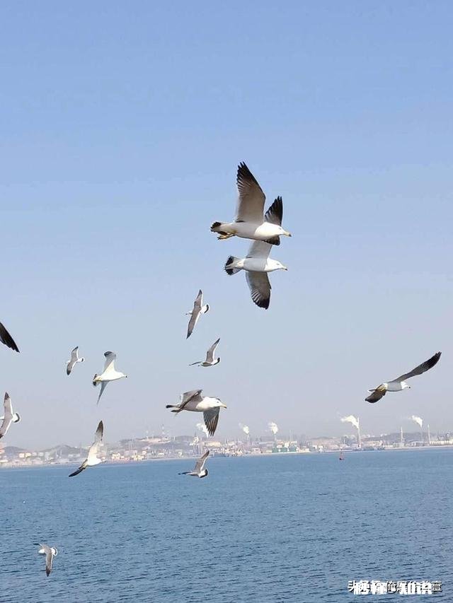 如何做到对联上下两联意义相关