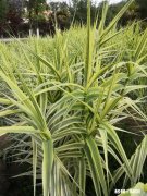 你听过什么样的话自己突然沉默了