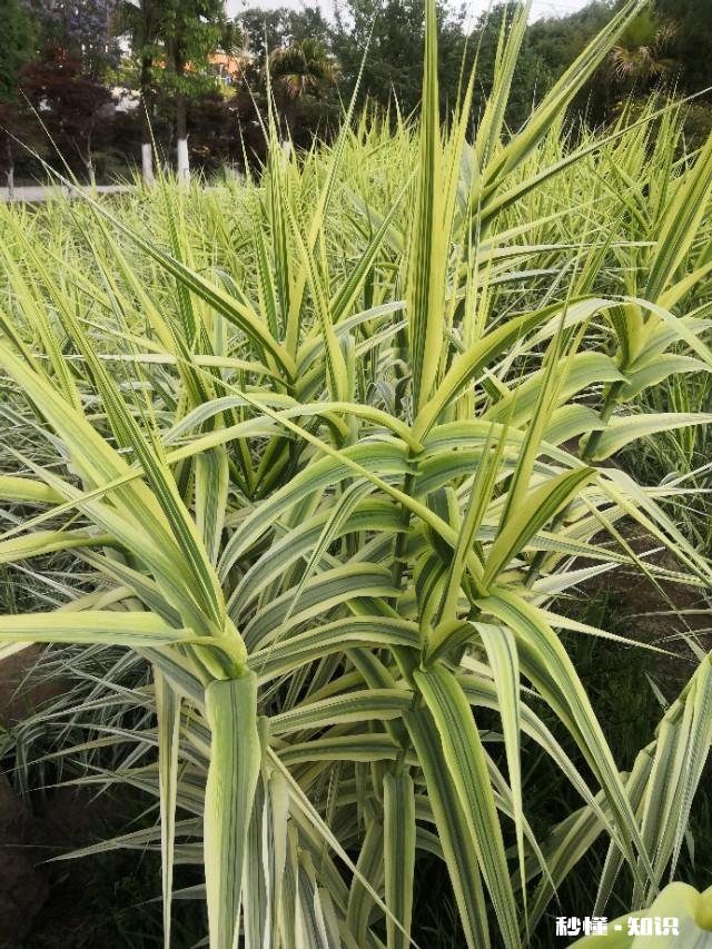 你听过什么样的话自己突然沉默了