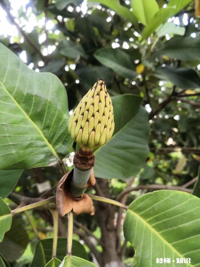 你听过什么样的话自己突然沉默了