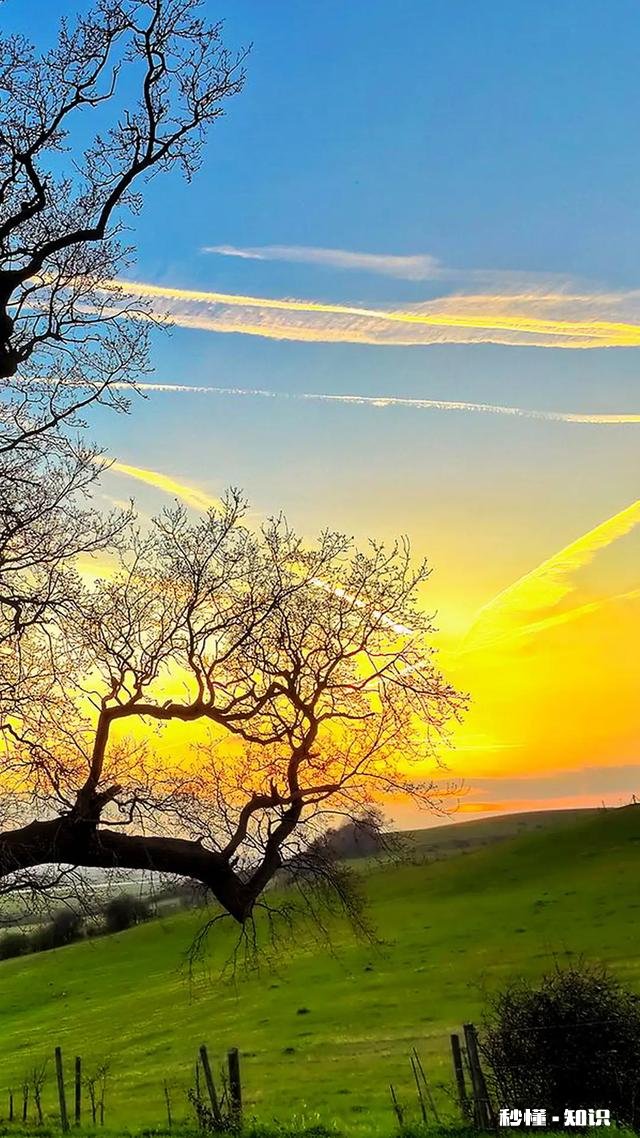 当你爱一个人爱得特别累，那个人其实是不适合你的……认同吗