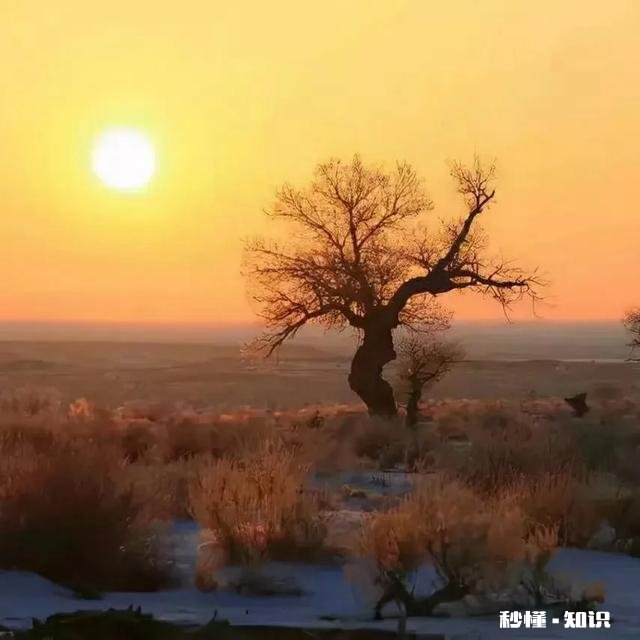 当你爱一个人爱得特别累，那个人其实是不适合你的……认同吗