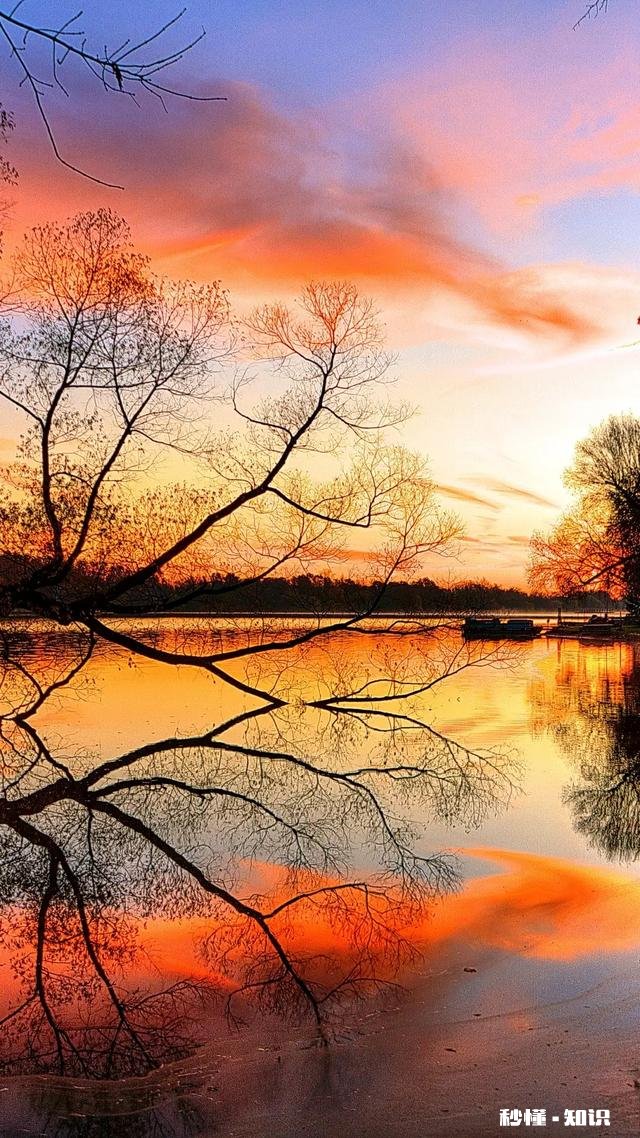 当你爱一个人爱得特别累，那个人其实是不适合你的……认同吗