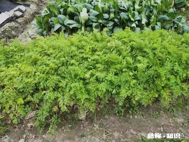 头条号不知道自己做哪个领域最合适，有可以给的建议吗