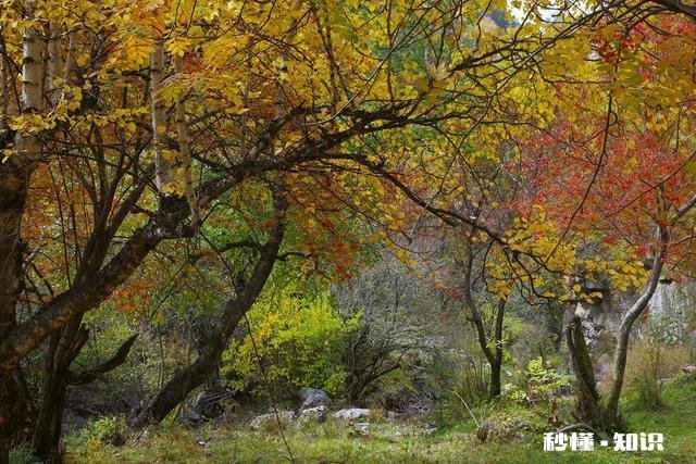 还有两天国庆就到了，自驾游究竟好不好
