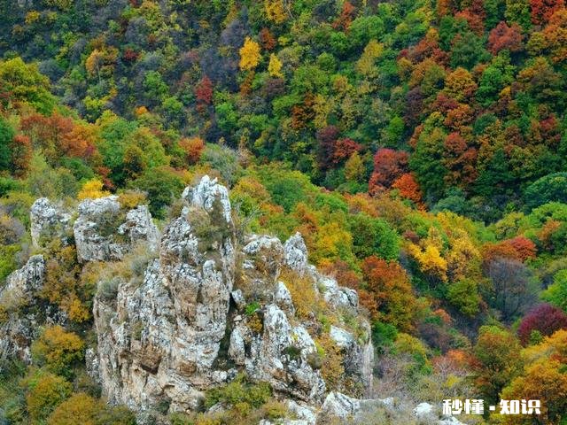 还有两天国庆就到了，自驾游究竟好不好