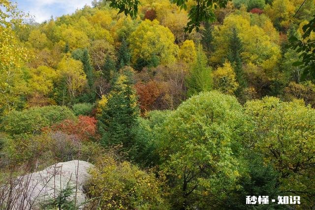 还有两天国庆就到了，自驾游究竟好不好