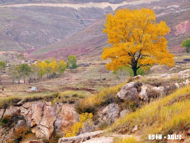还有两天国庆就到了，自驾游究竟好不好