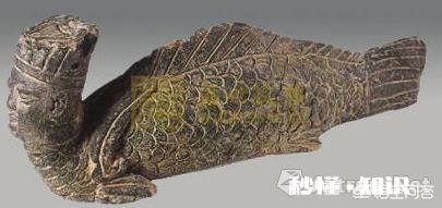 美人鱼是一种什么鱼