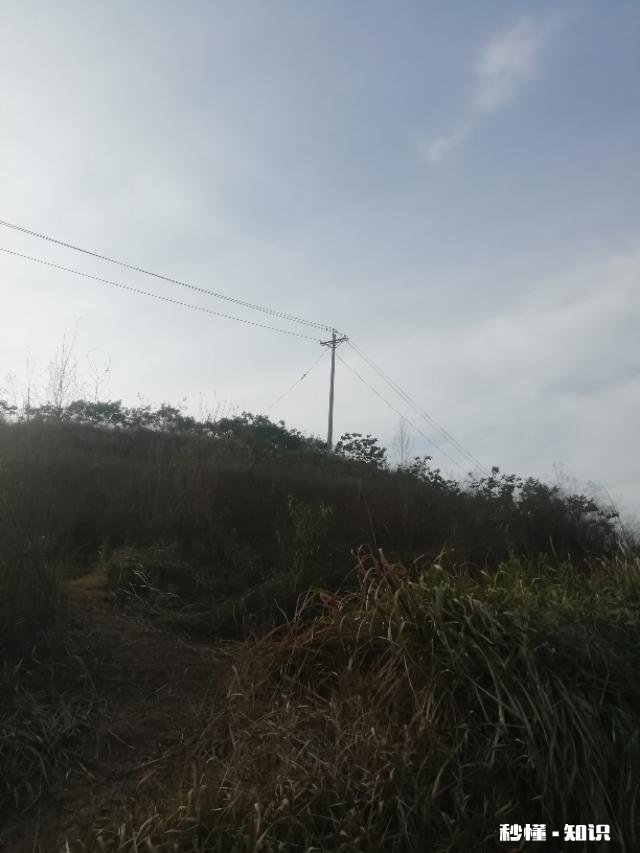 你有从童年到现在所有曾经的细节都认认真真、情真意切的回顾过一次吗