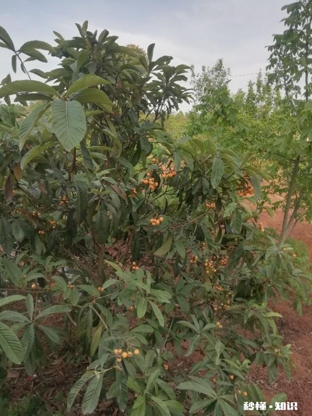 你有从童年到现在所有曾经的细节都认认真真、情真意切的回顾过一次吗