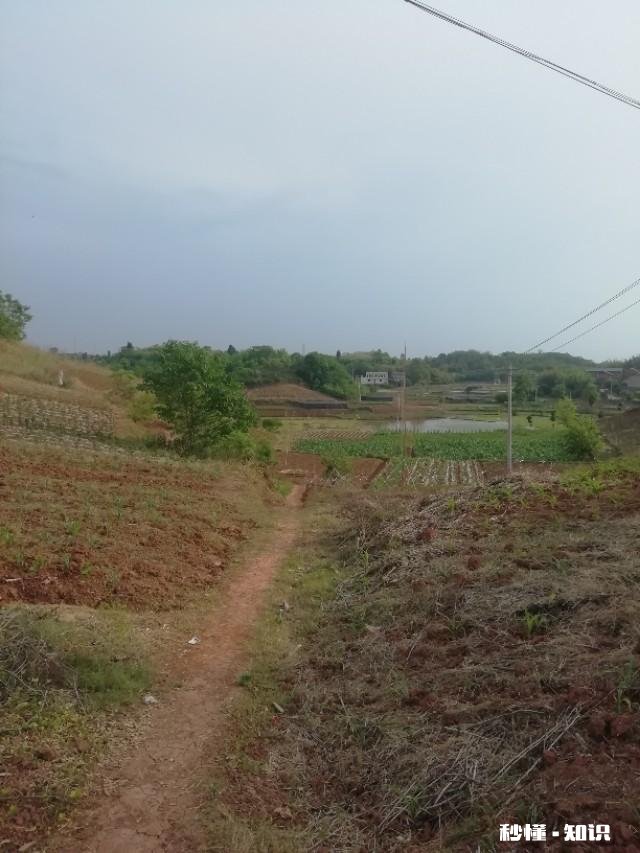 你有从童年到现在所有曾经的细节都认认真真、情真意切的回顾过一次吗