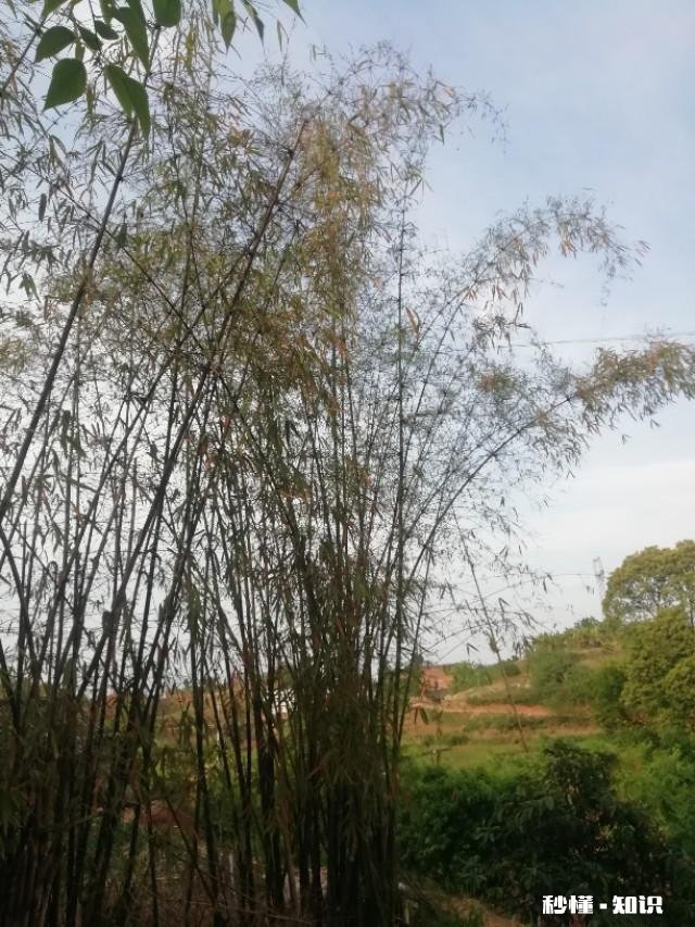 你有从童年到现在所有曾经的细节都认认真真、情真意切的回顾过一次吗