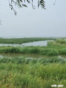 为什么酒不好喝，男人还要喝你是因为什么开始喝酒的