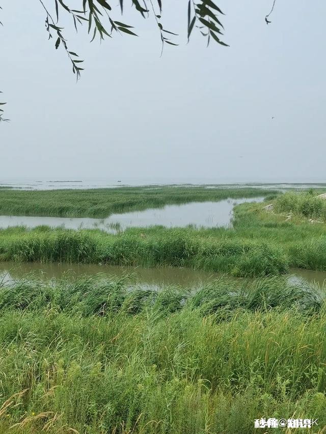 为什么酒不好喝，男人还要喝你是因为什么开始喝酒的
