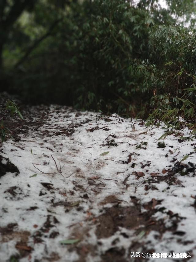 小时候幻想成为武侠高手，长大后却只想成为有钱人，到底是怎么了