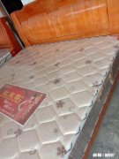 给爸爸妈妈敬酒时，说什么好