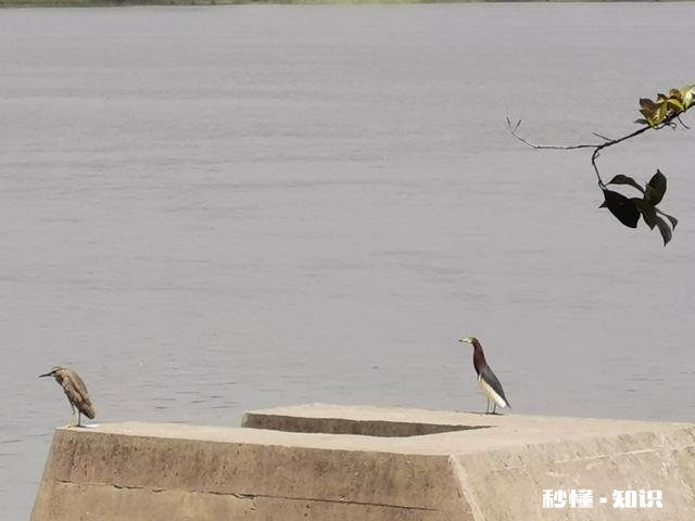 如果我掌握了股票基金的赚钱方法,我可以分享给所有人吗