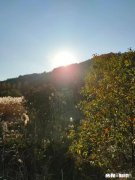 写评论，是我的爱好，只是这个爱好，有必要坚持下去吗