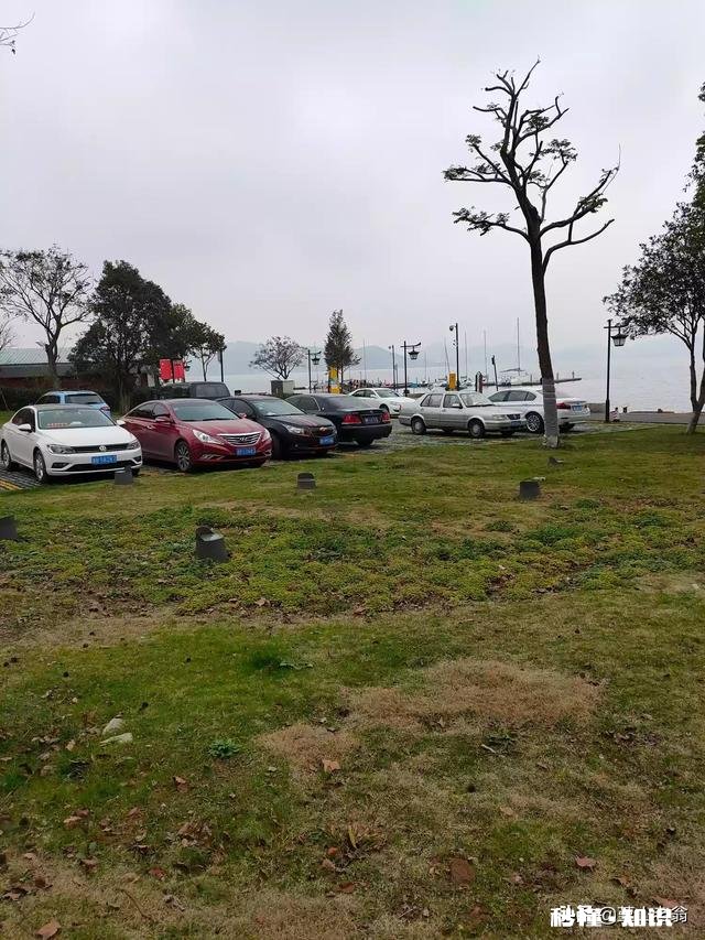 写评论,是我的爱好,只是这个爱好,有必要坚持下去吗