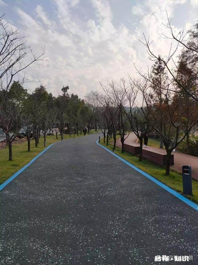 写评论,是我的爱好,只是这个爱好,有必要坚持下去吗