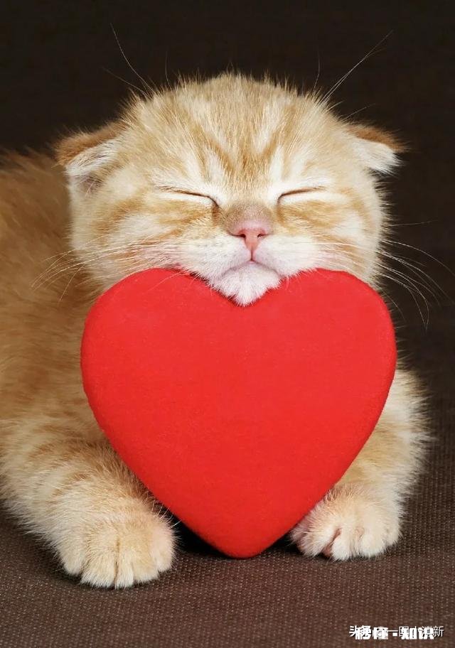 男人为什么活的这么累