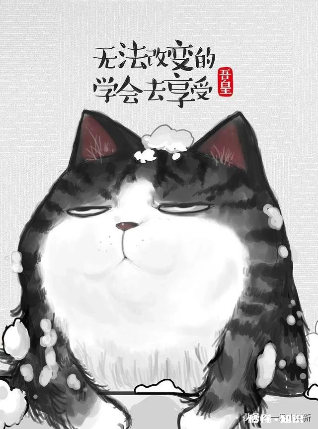 男人为什么活的这么累