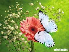 前妻生病了，该怎么处理