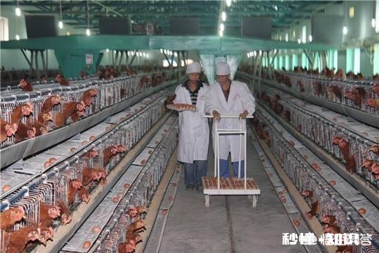 养殖场建在基本农田不合法，假如建在山边山地不是基本农田，合法吗