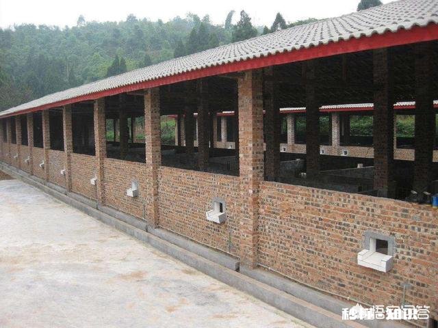 养殖场建在基本农田不合法，假如建在山边山地不是基本农田，合法吗