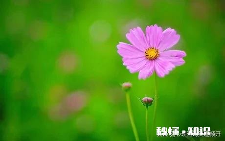 男朋友脾气差而且总是喜欢推卸责任特别自私。我该怎么办