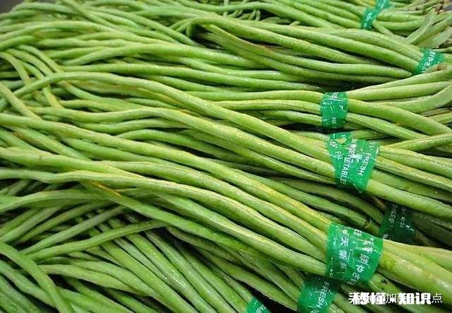 豇豆吃多了会对身体有什么影响