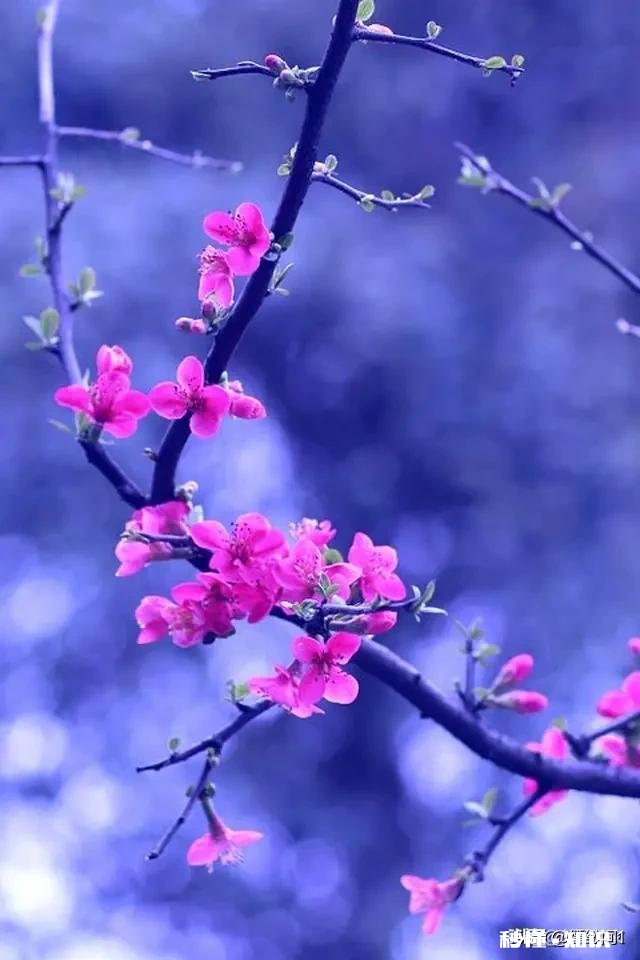 如果在路上不经意遇到前任，你会怎么做