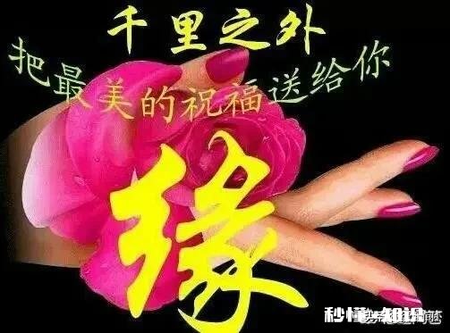 如果在路上不经意遇到前任，你会怎么做