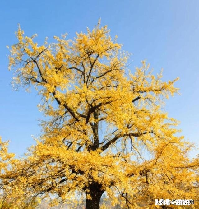 如果在路上不经意遇到前任，你会怎么做