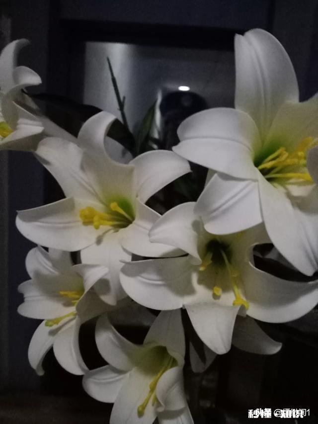 如果在路上不经意遇到前任，你会怎么做