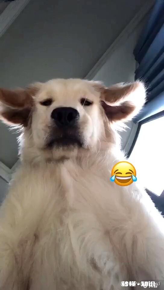 大家有没有什么流行点的歌曲推荐，适合婚礼上唱的，英文中文都OK