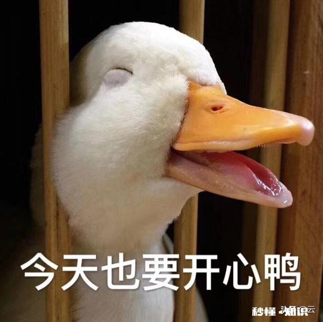 和一个很直的男朋友谈恋爱是什么体验