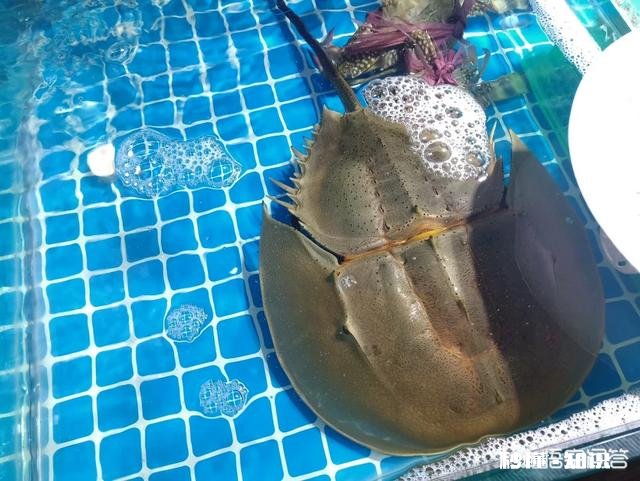 厦门和成都相比哪个更宜居