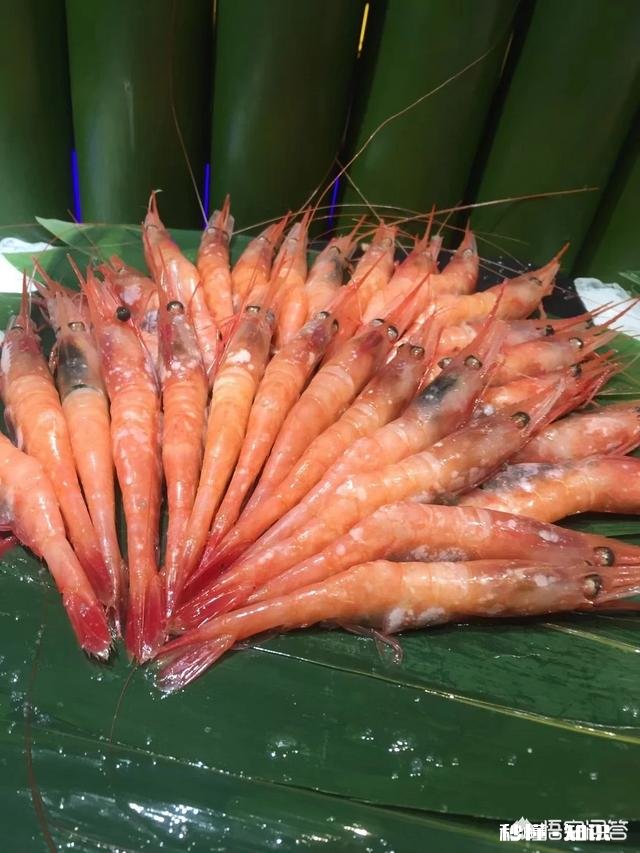 厦门和成都相比哪个更宜居