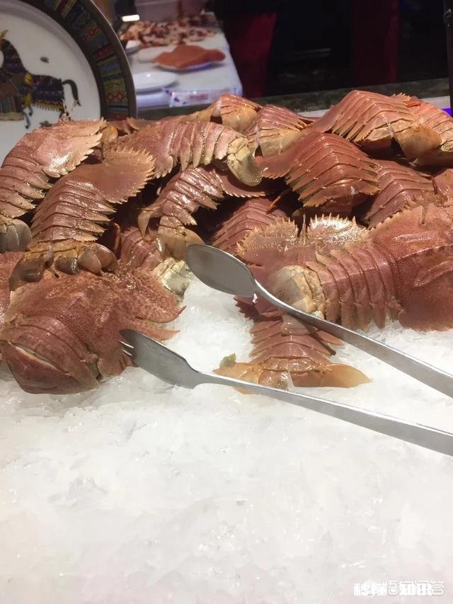 厦门和成都相比哪个更宜居