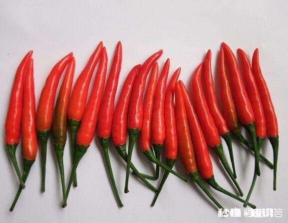 作为南方人很少吃辣椒，可是很想知道辣椒是怎么种植的都有哪些比较辣的品种