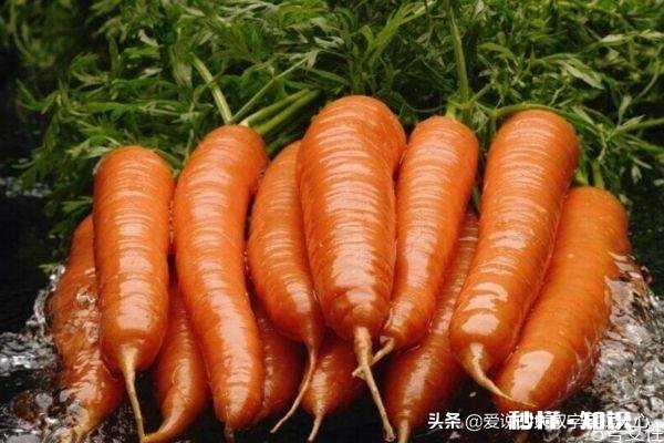 有没有感觉最近几天蔬菜价格贵了好多