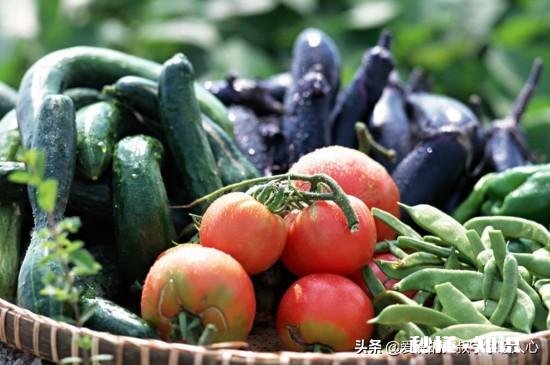 有没有感觉最近几天蔬菜价格贵了好多