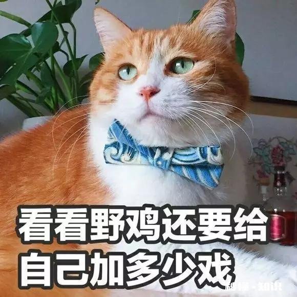 《王者荣耀》你认为KPL总决赛谁会赢