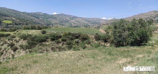 裸辞如何保证社保不被中断